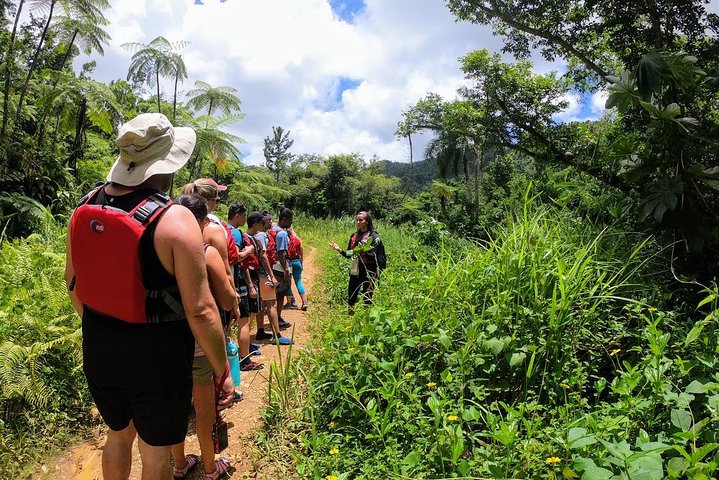 Half-day El Yunque rainforest and waterslide adventure