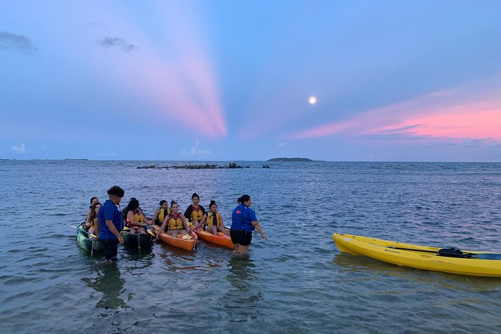 Kayaks glowing with bioluminescence in the dark waters of a Puerto Rico bio bay