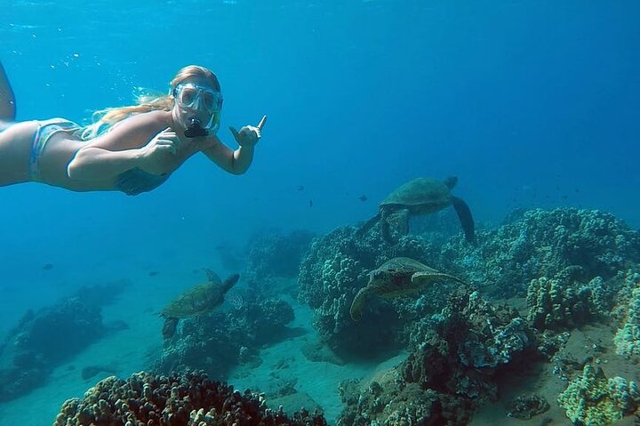 Sea turtle swimming in clear water near San Juan snorkeling site
